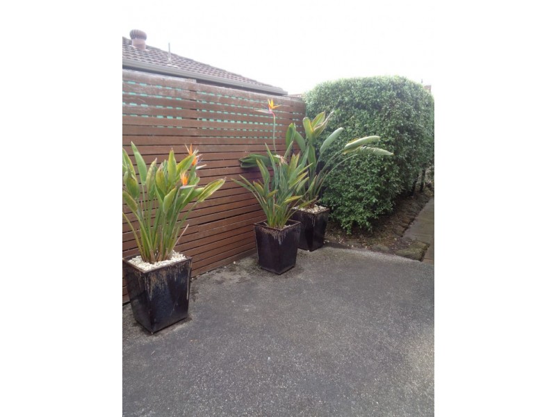 34 Swan Street, Warrnambool VIC 3280