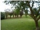 540 Cobden-Warrnambool Road, Cobden VIC 3266