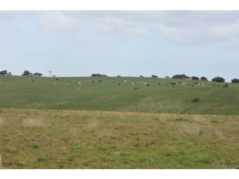 Warrnambool VIC 3280