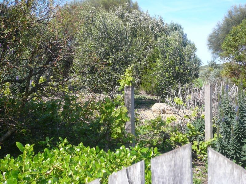 Warrnambool VIC 3280