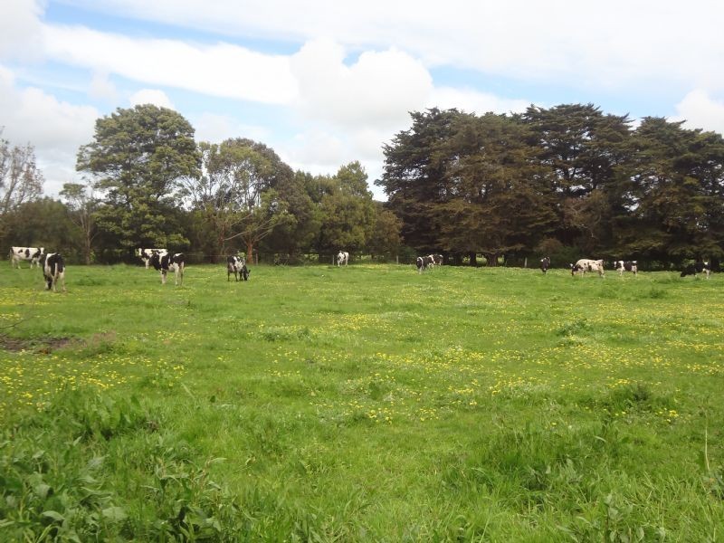 Ballangeich VIC 3279