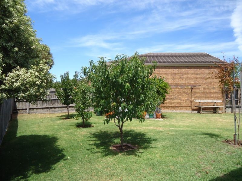 Warrnambool VIC 3280
