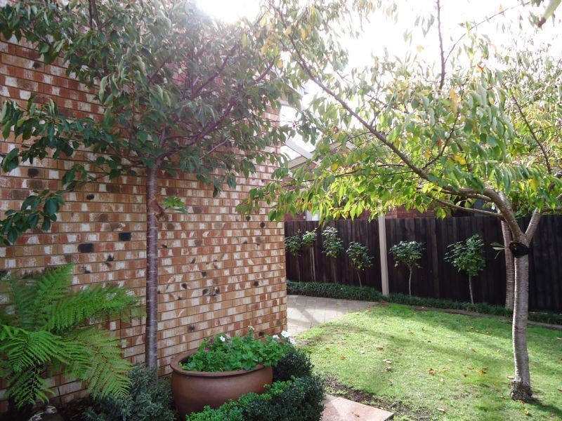 Warrnambool VIC 3280