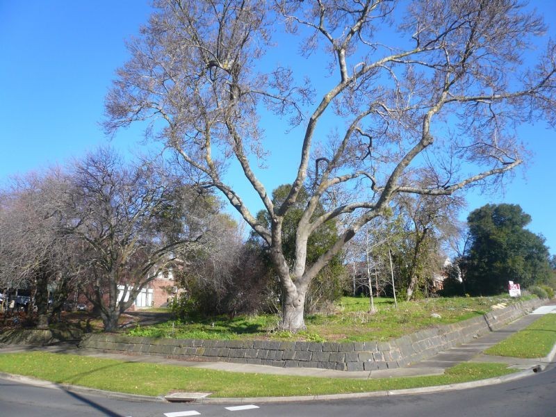 Warrnambool VIC 3280