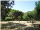 Warrnambool VIC 3280