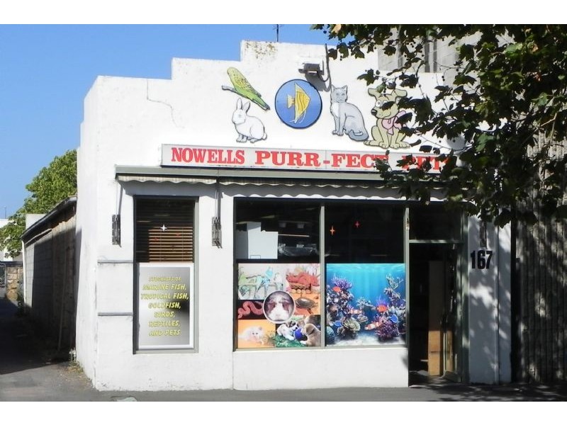 167 Lava Street, Warrnambool VIC 3280