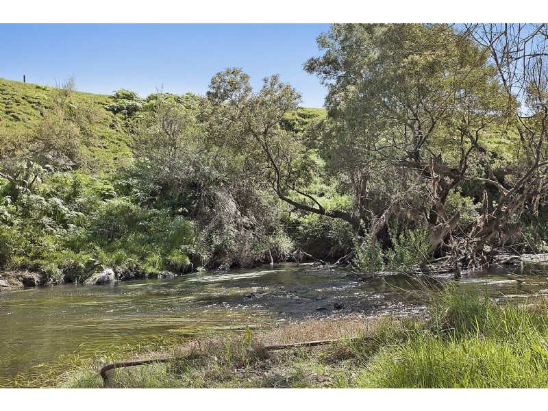 Bushfield VIC 3281