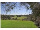 Bushfield VIC 3281