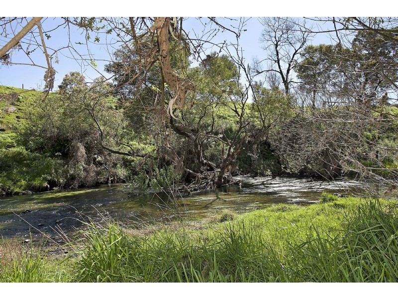 Bushfield VIC 3281