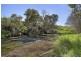 Bushfield VIC 3281