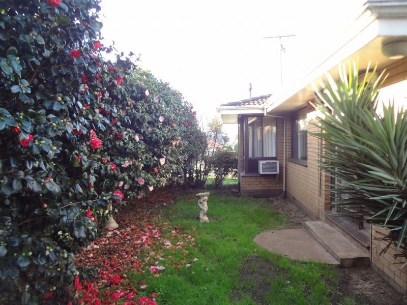 17 Shirley Grove, Warrnambool VIC 3280