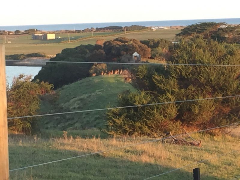 Lot 3 Lowery Road, Tower Hill VIC 3283