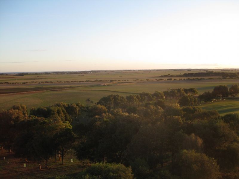 Lot 3 Lowery Road, Tower Hill VIC 3283