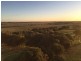 Lot 3 Lowery Road, Tower Hill VIC 3283