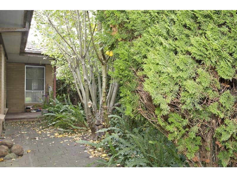 9 Wanstead Street, Warrnambool VIC 3280