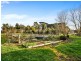 20 Leman Street, Woolsthorpe VIC 3276