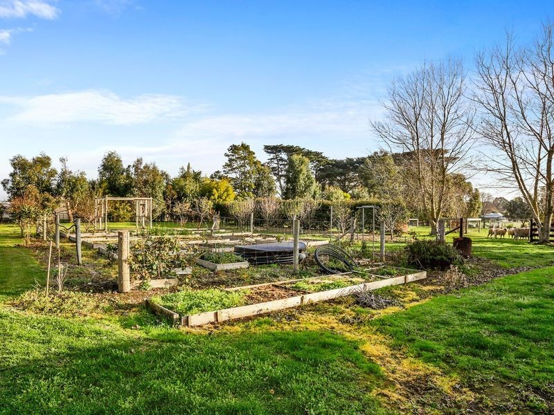 20 Leman Street, Woolsthorpe VIC 3276