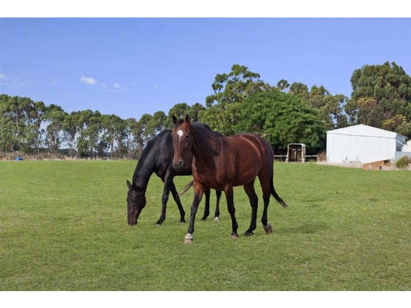 101 Yarpturk School Road, Yarpturk VIC 3283