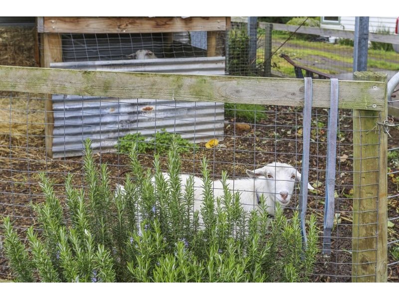 18 Manifold Street, Woolsthorpe VIC 3276