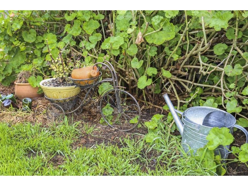 18 Manifold Street, Woolsthorpe VIC 3276