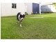 37 Saltau Street, Warrnambool VIC 3280