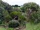 132 Regent Street, Port Fairy VIC 3284
