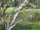 Port Fairy VIC 3284