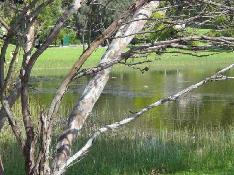 Port Fairy VIC 3284