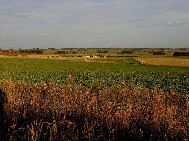 Lot 27 Princes Highway, Illowa VIC 3282