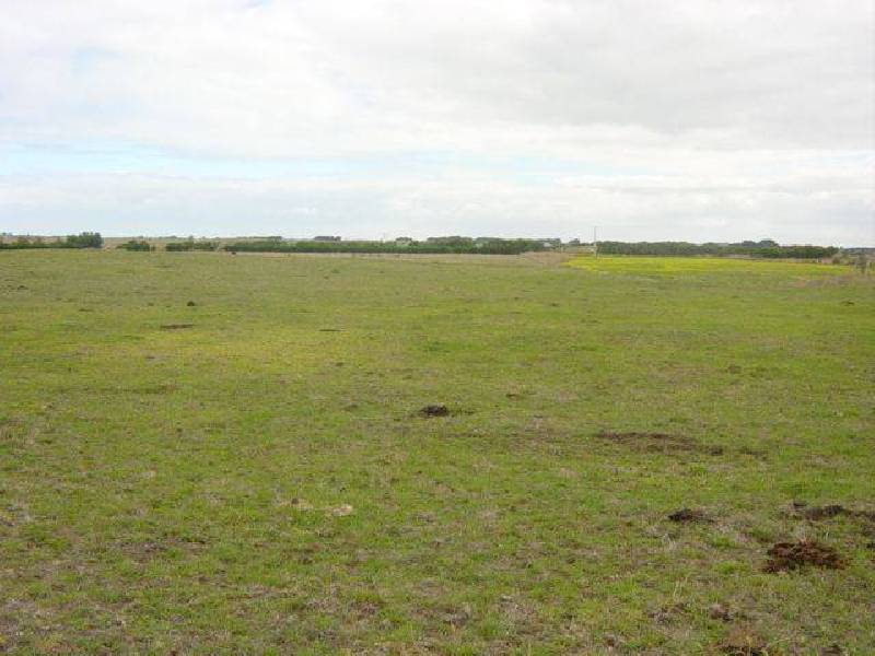 Albert Road, Port Fairy VIC 3284