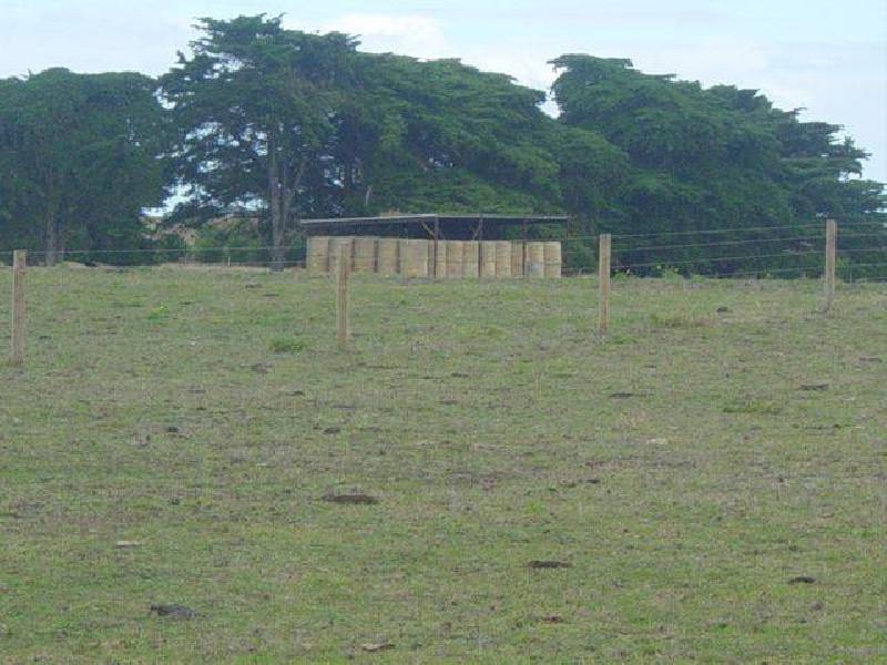 Albert Road, Port Fairy VIC 3284