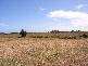 96 McColls Rd, Toolong VIC 3285