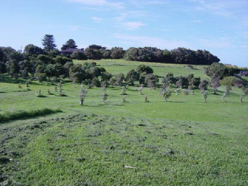 1A Thistle Place, Port Fairy VIC 3284