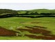 3283A Princes Highway, Port Fairy VIC 3284