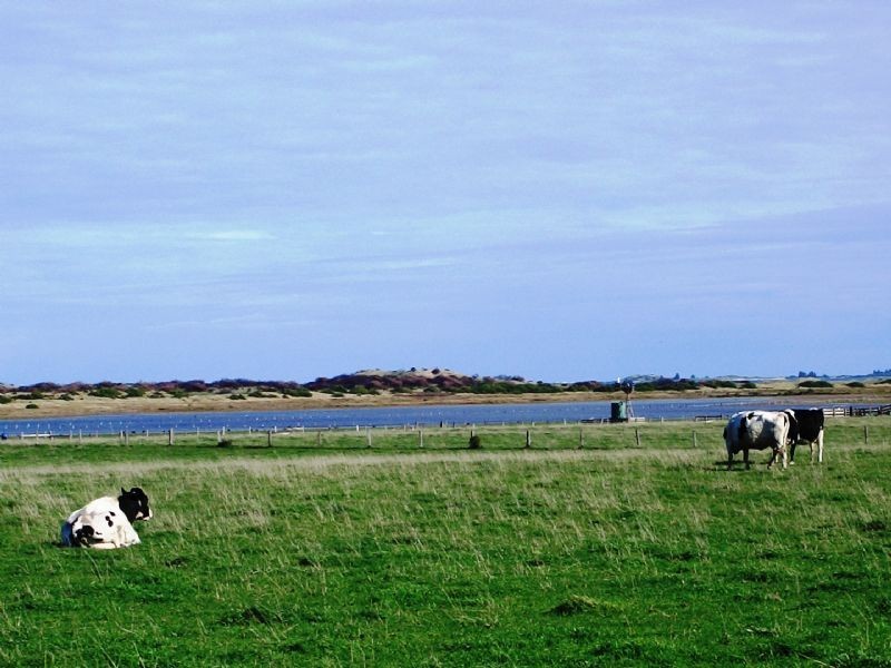 193 survey lane, Port Fairy VIC 3284