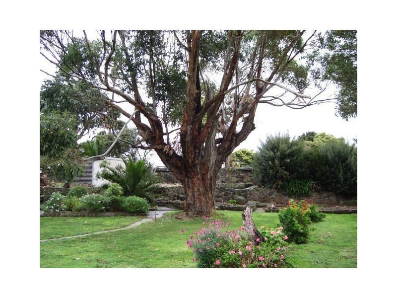 3 Earl, Port Fairy VIC 3284