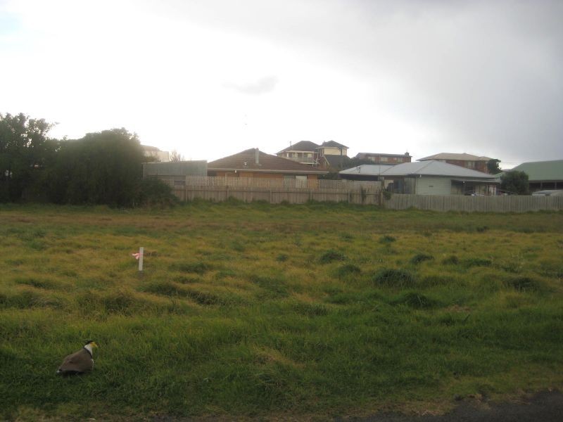 11 Singleton St, Port Fairy VIC 3284