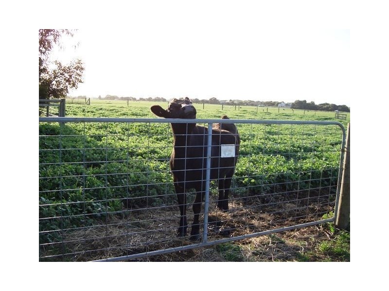 99 Barlings Road, Tower Hill VIC 3283