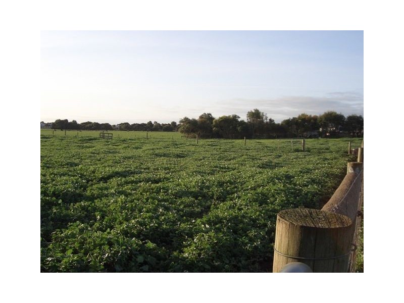 99 Barlings Road, Tower Hill VIC 3283