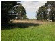 Port Fairy VIC 3284