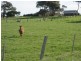 41C Albert Road, Port Fairy VIC 3284