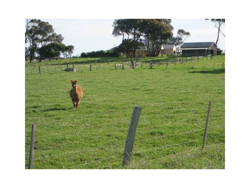 41C Albert Road, Port Fairy VIC 3284