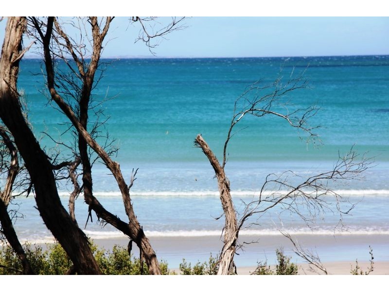56 Griffith St, Port Fairy VIC 3284