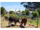 3494 Hamilton Road, Broadwater VIC 3301