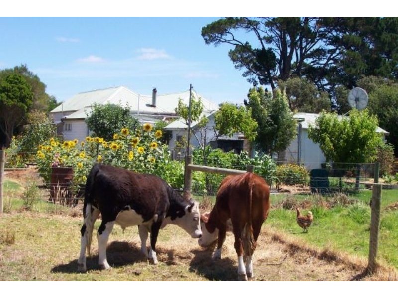 3494 Hamilton Road, Broadwater VIC 3301
