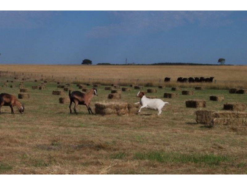 3494 Hamilton Road, Broadwater VIC 3301