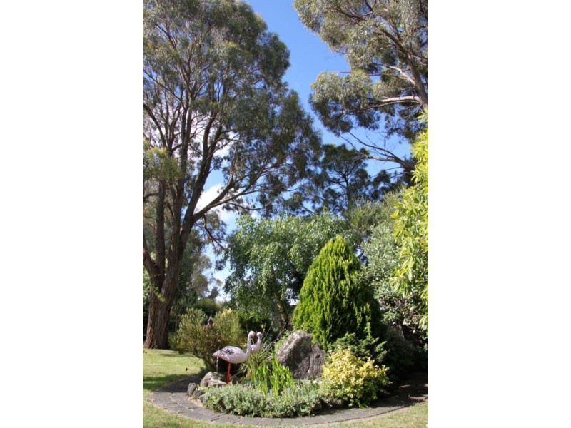 3 Eumeralla Street, Macarthur VIC 3286