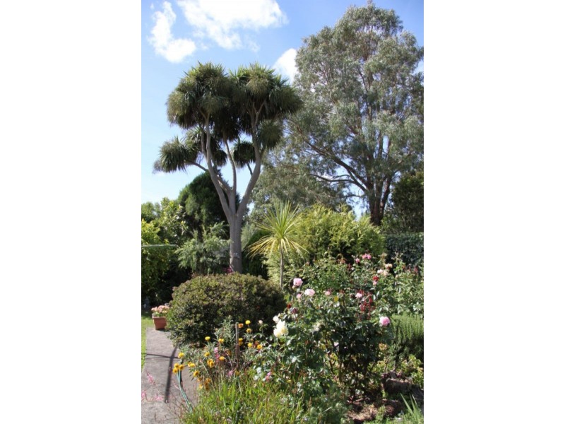 3 Eumeralla Street, Macarthur VIC 3286