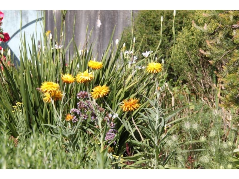 3 Eumeralla Street, Macarthur VIC 3286