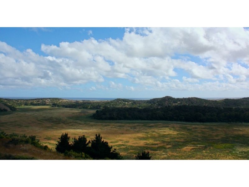 264 Lakeview Road, Tower Hill VIC 3283